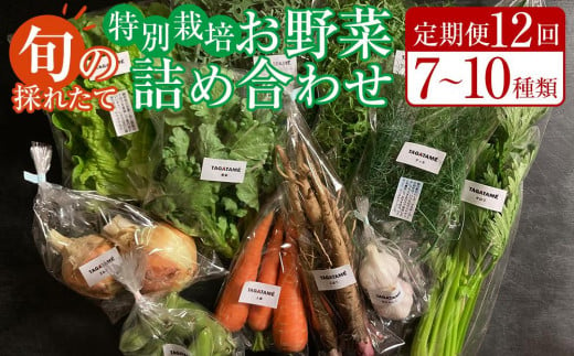 【定期便全12回】旬の採れたて 7～10種類お野菜詰め合わせセット(1～2名様)【野菜 特別栽培 1年間 栽培期間中農薬不使用 旬 採れたて 香川県 さぬき市】 1487191 - 香川県さぬき市