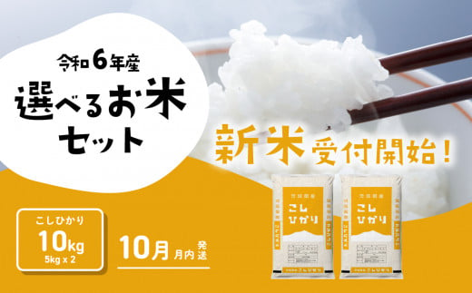 コシヒカリ10kg 5kgx2袋 令和6年産 新米 10月発送 先行予約 こしひかり あきたこまち 食べ比べ 白米 精米 茨城県 八千代町 [SF012ya]