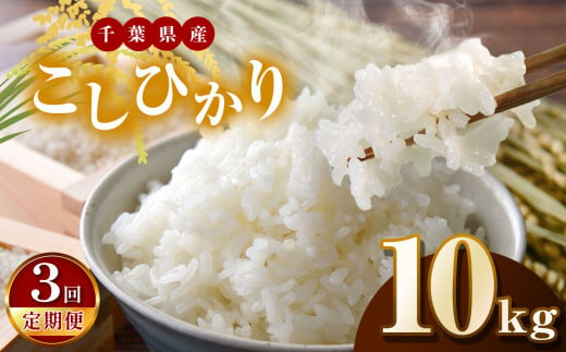 【新米・令和6年産】【3回定期便】君津市産こしひかり（精米）10kg  | JA さだもと 米 こめ お米 おこめ 白米 精米  千葉県 君津市 きみつ 1467876 - 千葉県君津市