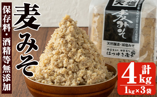 No.3351 保存料・酒精等無添加みそ 麦みそ(1kg×4袋)甘口 減塩 麦みそ 保存料・酒精等無添加 国産 九州 味噌 みそ 調味料 麹 こうじ 味噌汁 みそ汁[はつゆき屋]