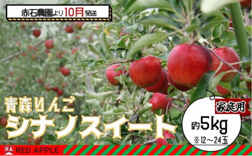 りんご 【 10月発送 】家庭用 シナノスイート 約 5kg 【 弘前市産 青森りんご 】 1052501 - 青森県弘前市