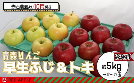 りんご 【 10月発送 】家庭用 早生ふじ ＆ トキ 約 5kg 【 弘前市産 青森りんご 】 1052493 - 青森県弘前市