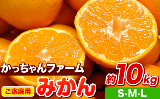 ご家庭用『かっちゃんファーム』のご家庭用みかん★ 約10kg【S・M・Lサイズ(大小サイズ混合)】 自然本来のおいしさ！《11月上旬-12月末頃出荷》 1407536 - 熊本県玉東町