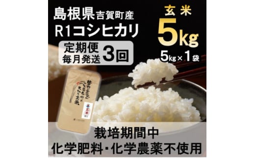 ＜毎月定期便＞栽培期間中化学肥料・化学農薬不使用 R1米コシヒカリ5kg(玄米)全3回【4056797】 1493066 - 島根県吉賀町