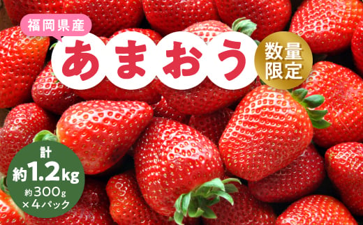 ＜数量限定＞2025年2月より順次発送 あまおう約300g×4パック(約1,200g)_ いちご 苺 イチゴ フルーツ 果物 くだもの ふるーつ 青果 産直 産地直送 あまおう 国産 甘い 人気 ギフト プレゼント 贈り物 送料無料 【1211836】 255331 - 福岡県大野城市