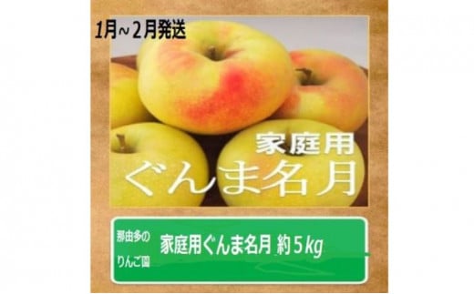 りんご 【1～2月発送】【訳あり】家庭用 ぐんま名月 約5kg 糖度13度以上（糖度証明書付き）【 弘前市産 青森りんご 】 894047 - 青森県弘前市