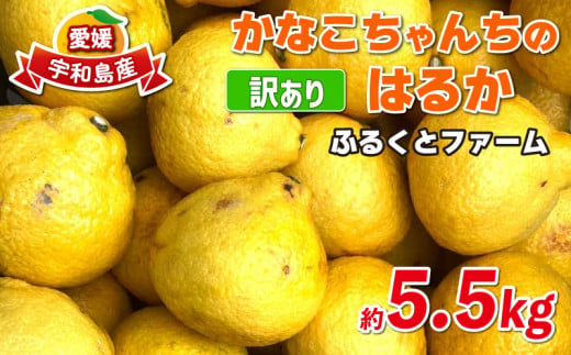 訳あり はるか みかん 約5.5kg ふるくとファーム サイズ混合 かなこちゃん はるかみかん 先行予約 果物 くだもの フルーツ 甘い 爽やか 美味しい 柑橘 蜜柑 mikan 愛媛ミカン 愛媛蜜柑 愛媛みかん 訳アリ 訳あり品 訳有り わけあり 数量限定 産地直送 国産 愛媛 宇和島 B010-037007 1556564 - 愛媛県宇和島市