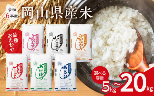 [容量が選べる][令和6年産]岡山県産米 5kg 〜 20kg[お米 ランダム 配送 ヒノヒカリ にこまる 朝日 アケボノ あきたこまち 令和6年産 5kg 10kg 15kg 20kg 選べる お米 精米 米 岡山県産米 ]