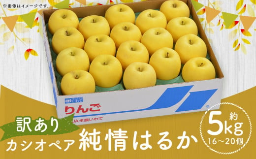 カシオペア 《訳あり》純情はるか 約5kg／りんご 林檎 はるか 果物 フルーツ 糖度 自宅用 お取り寄せ 【2024年12月上旬発送開始】 1476150 - 岩手県二戸市