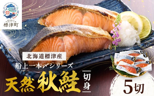 北海道標津産 天然 秋鮭 切身 (5切)＜船上一本〆シリーズ＞ 【1023823】 320205 - 北海道標津町
