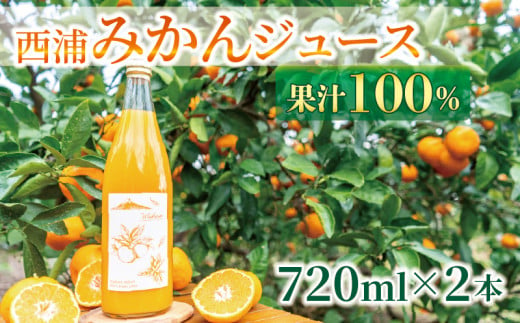 果汁 100％  みかん ジュース  720ml × 2本 西浦 オレンジ 飲み物 静岡 沼津