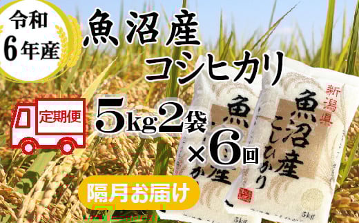 131P397BE 令和6年産 魚沼産コシヒカリ 定期便 5kg2袋×6回【隔月お届け】(小千谷米穀)白米 精米 米 魚沼 魚沼産 新潟県 小千谷市 定期便 772691 - 新潟県小千谷市
