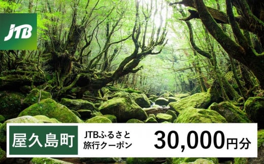 【屋久島町】JTBふるさと旅行クーポン（Eメール発行）（30,000円分） 1486616 - 鹿児島県屋久島町