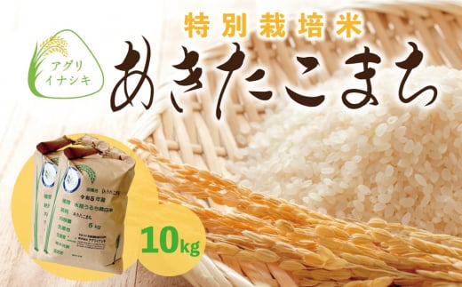 新米【令和6年産】茨城県稲敷市産 特別栽培米 あきたこまち 合計10kg (5kg×2袋)｜米 おこめ 精米 農家直送 直送 茨城県 [1100] 1490017 - 茨城県稲敷市