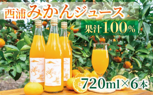 果汁 100％  みかん ジュース  720ml × 6本 西浦 オレンジ 飲み物 静岡 沼津 2025年2月以降順次発送 1198211 - 静岡県沼津市