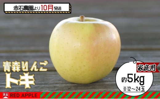 りんご 【 10月発送 】家庭用 トキ 約 5kg 【 弘前市産 青森りんご 】 1052495 - 青森県弘前市