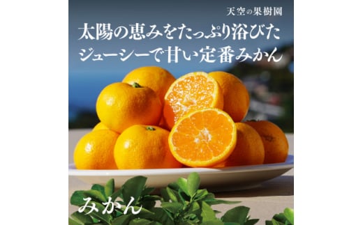 天空の果樹園から届くそらみかん (5kg)＜C45-68＞【1339405】 1489047 - 愛媛県八幡浜市