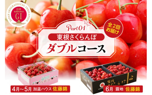 [2025年産 先行予約]東根さくらんぼ ダブルコース (佐藤錦加温500g、佐藤錦露地900g) 山形県 東根市 hi001-035-1