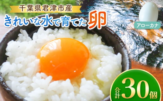 きれいな水で育てた卵 アローカナ 30個 | 保坂農場  あろーかな 卵 たまご 君津市産 千葉 君津 きみつ 房総 1510950 - 千葉県君津市