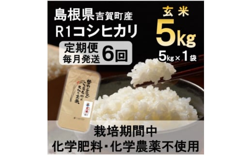 ＜毎月定期便＞栽培期間中化学肥料・化学農薬不使用 R1米コシヒカリ5kg(玄米)全6回【4056798】 1493067 - 島根県吉賀町