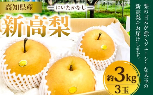 新高梨 3kg（3玉）高知県産 【2024年9月下旬～10月上旬発送予定】 梨 なし ナシ 果物 くだもの フルーツ 1070516 - 高知県香美市