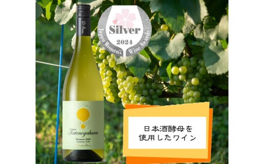 Domaine Beau 立野原 シャルドネ×K1401【受賞ワイン】750ml 1487361 - 富山県南砺市