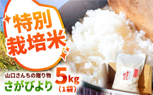 【先行予約】令和6年産新米！ 特別栽培米 さがびより 5kg 白米～山口さんちの贈り物～【y'scompany】米 お米 さがびより サガビヨリ 特別栽培米 白米 お米 [IAS005] 280702 - 佐賀県白石町