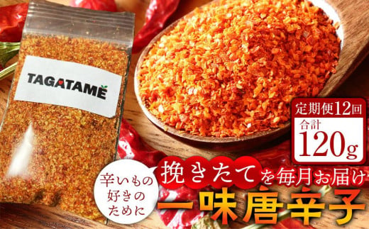 【定期便全12回】一味 唐辛子 合計120g(1回10g) TAGATAME タガタメ【一味 唐辛子 とうがらし 香川県 さぬき市】 1487193 - 香川県さぬき市