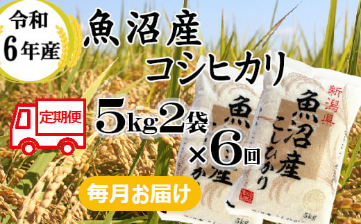 131P396BE 令和6年産 魚沼産コシヒカリ 定期便 5kg2袋×6回[毎月お届け](小千谷米穀) 白米 精米 米 魚沼 魚沼産 新潟県 小千谷市 定期便