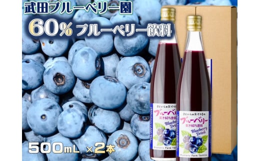 60%ブルーベリー果汁入り飲料 2本セット[V002110]