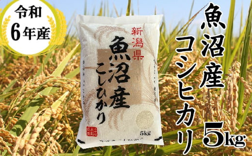 11P376BE 令和6年産 魚沼産コシヒカリ5kg(小千谷米穀)白米 精米 米 魚沼 魚沼産 新潟県 小千谷市