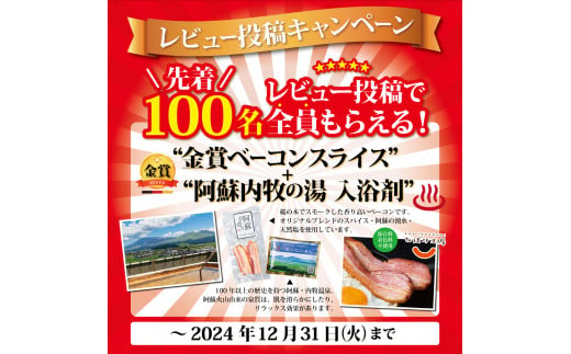 熊本県阿蘇市のふるさと納税 ★レビューキャンペーン対象返礼品★【定番】4種馬刺しセット 霜降り中トロ 上赤身 希少部位  ロース 定番人気 赤身馬刺し 専用タレ付き 小分け 2～3人前 4～6人前 小分け 詰め合わせ 馬刺し ブロック 冷凍 馬刺し 馬肉 小分け タレ付き 馬刺し お肉 熊本名物 上質 馬刺し 新鮮 お取り寄せ お祝い 馬刺し おつまみ 馬刺し 晩酌 生食用 お取り寄せ 特産品 熊本県 阿蘇市