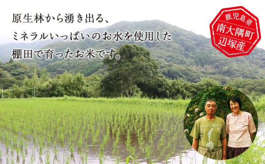 鹿児島県南大隅町のふるさと納税 【先行予約】令和6年産 あきほなみ 5kg　南大隅町辺塚産