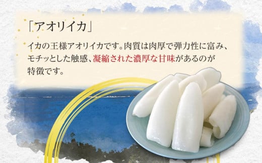 香川県さぬき市のふるさと納税 むき身あおりいか 約500g(3～5尾入り) 下処理済 冷凍 小分け【水イカ アオリイカ いか イカ イカ刺身 刺身 いかソーメン 天ぷら 香川県 さぬき市 讃岐 さぬき】