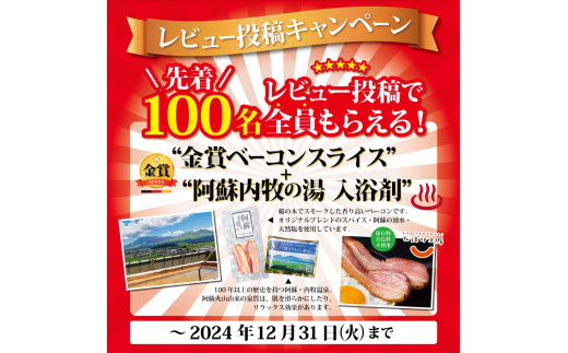 熊本県阿蘇市のふるさと納税 ★レビューキャンペーン対象返礼品★【国産】赤身馬刺しセット250g 約50g×5パック 赤身馬刺し 赤身 詰め合わせ 2～3人前 馬刺し ブロック 晩酌 ヘルシー 冷凍 馬刺し 馬刺し王道 馬肉 小分け 馬刺し 馬肉 タレ付き 馬刺し お肉 熊本名物 馬刺し 上質 馬刺し 新鮮 馬肉 お取り寄せ お祝い 馬刺し おつまみ 晩酌 生食用 刺身 プレゼント お取り寄せ 名物 特産品 熊本県 阿蘇市