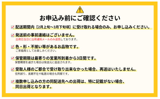 福岡県赤村のふるさと納税 【赤村限定】 福岡県ブランドいちご“あまおう” 農家直送【300g×2パック】 ふるさと納税 あまおう ブランドいちご フルーツ 果物 旬 イチゴ 苺 福岡県産 送料無料 ふるさと ランキング 人気 おすすめ 2Z6