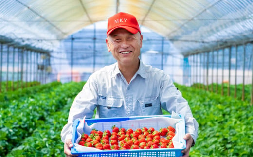 福岡県赤村のふるさと納税 エコファーマー認定農家直送！福岡県産あまおう【280g×2パック】 2Z5