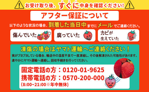 福岡県赤村のふるさと納税 【赤村限定】 福岡県ブランドいちご“あまおう” 農家直送【300g×2パック】 ふるさと納税 あまおう ブランドいちご フルーツ 果物 旬 イチゴ 苺 福岡県産 送料無料 ふるさと ランキング 人気 おすすめ 2Z6