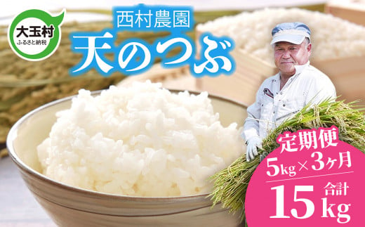 米 定期便 天のつぶ 15kg ( 5kg × 3ヶ月 ) 《 令和6年 》 福島県 大玉村 西村農園 新米 ｜ てんのつぶ テンノツブ 精米 定期 3回 コメ ｜ nm-tt05-t3-R6 276930 - 福島県大玉村