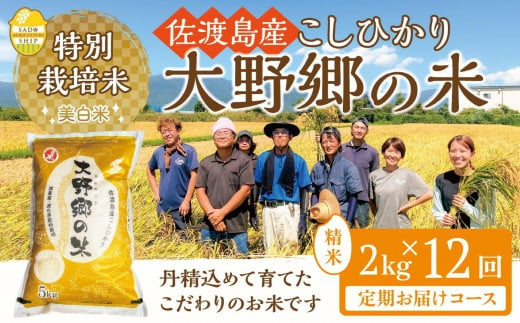 【令和６年産新米】佐渡島産 特別栽培米こしひかり「大野郷の米」精米2kg×12回 定期お届けコース 1490362 - 新潟県佐渡市