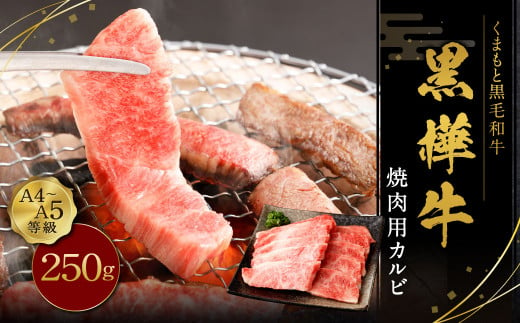 黒樺牛 焼肉用カルビ 250g×1パック お肉 肉 牛肉 ブランド黒毛和牛 和牛 黒毛和牛 ブランド牛 焼き肉 焼肉 BBQ バーベキュー カルビ 冷凍 国産 九州産 冷凍 1490962 - 熊本県上天草市