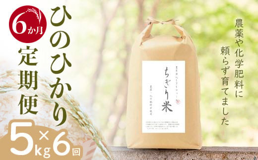 【令和6年新米・先行受付】《6か月定期便》無農薬米 ひのひかり ちぎり米 5kg×6回【佐賀県産 米 コメ ヒノヒカリ 夢しずく 精米 白米】I6-C091301 1490200 - 佐賀県基山町