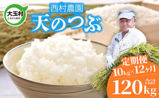 米 定期便 天のつぶ 120kg ( 10kg × 12ヶ月 ) 《 令和6年 》 福島県 大玉村 西村農園 新米 ｜ てんのつぶ テンノツブ 精米 定期 12回 コメ ｜ nm-tt10-t12-R6 276987 - 福島県大玉村