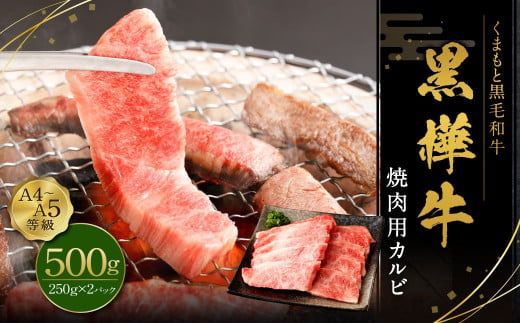 黒樺牛 焼肉用カルビ 500g（250g×2パック） お肉 肉 牛肉 ブランド黒毛和牛 和牛 黒毛和牛 ブランド牛 焼き肉 焼肉 BBQ バーベキュー カルビ 冷凍 国産 九州産 冷凍 1490963 - 熊本県上天草市