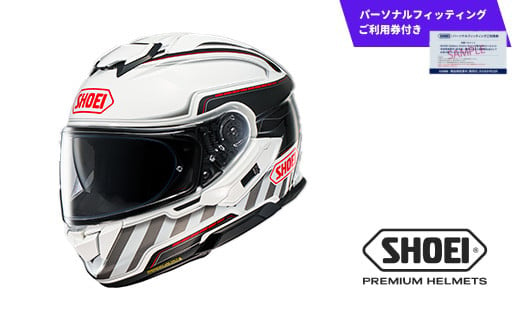 SHOEI ヘルメット GT-Air3 DISCIPLINE(ディシプリン) TC-6 (WHITE/BLACK) パーソナルフィッティングご利用券付