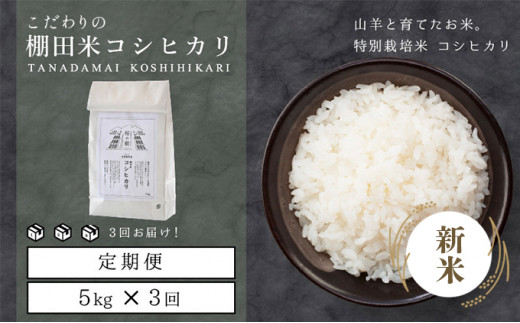 [003-c001] 新米 定期便 ≪3ヶ月連続お届け≫ 福井県こだわり米登録!令和6年産 新米 棚田の特別栽培米コシヒカリ 5kg × 3回(計15kg)[ お米 ご飯 お取り寄せ ブランド こしひかり ]