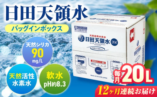 【全12回定期便】日田天領水 20L×1箱 日田市 / グリーングループ株式会社　飲料水 水 みず[AREG005] 1490064 - 大分県日田市