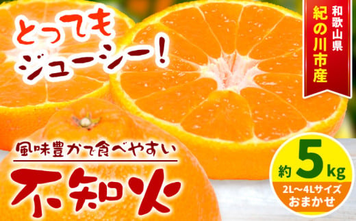 【先行予約】【濃厚】和歌山県産 不知火 約 5kg (2L～4Lサイズおまかせ) 紀の川市厳選館《2025年2月中旬-2025年4月中旬頃出荷》 和歌山県 紀の川市 果物 不知火 果実 ジューシー 甘み 酸味