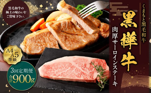 【定期便】黒樺牛 【3回定期便】肉厚サーロインステーキ 約300g 合計約900g お肉 肉 牛肉 ブランド黒毛和牛 和牛 黒毛和牛 ブランド牛 サーロイン ステーキ ロースステーキ 冷凍 国産 九州産 冷凍 1490961 - 熊本県上天草市