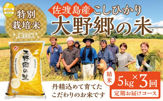 【令和６年産新米】佐渡島産 特別栽培米こしひかり「大野郷の米」精米5kg×３回 定期お届けコース 1490358 - 新潟県佐渡市